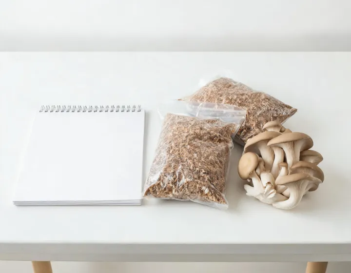 Mushroom kit procurement notes and samples